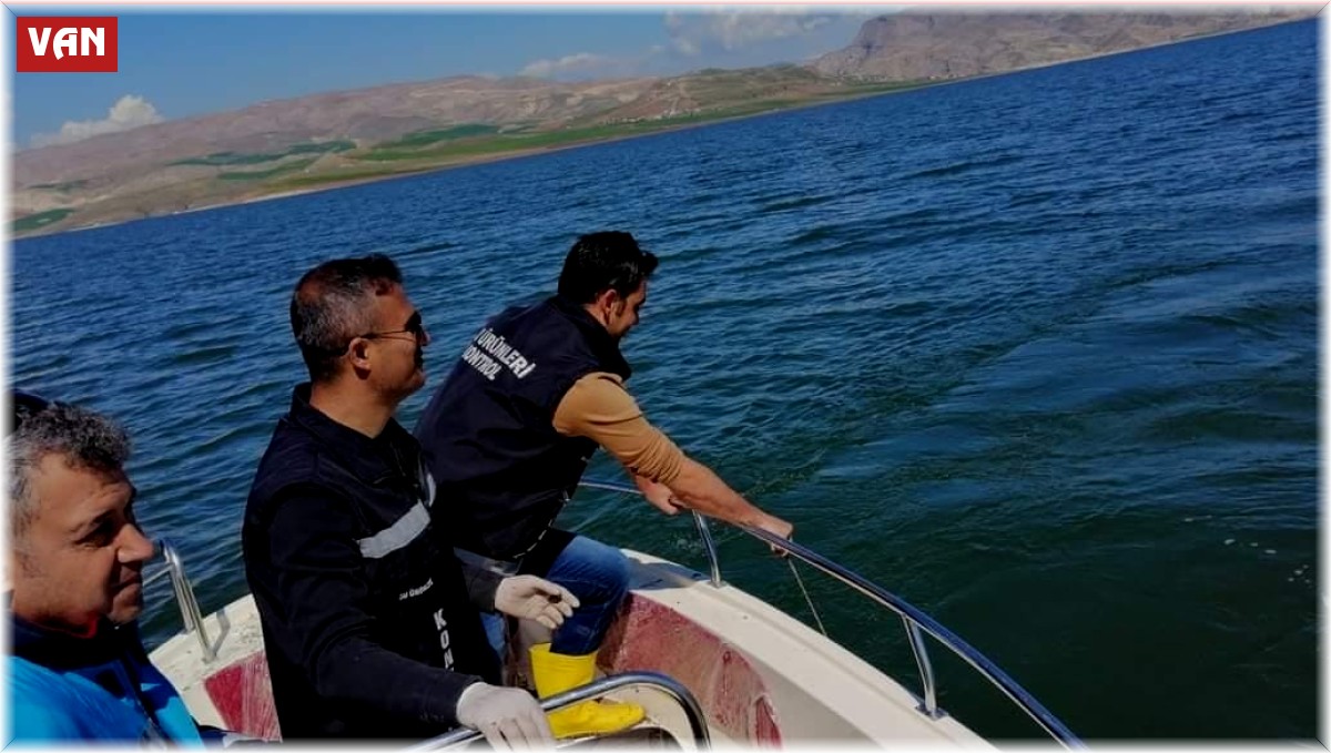 Van'da sazangillerin av yasağı devam ediyor