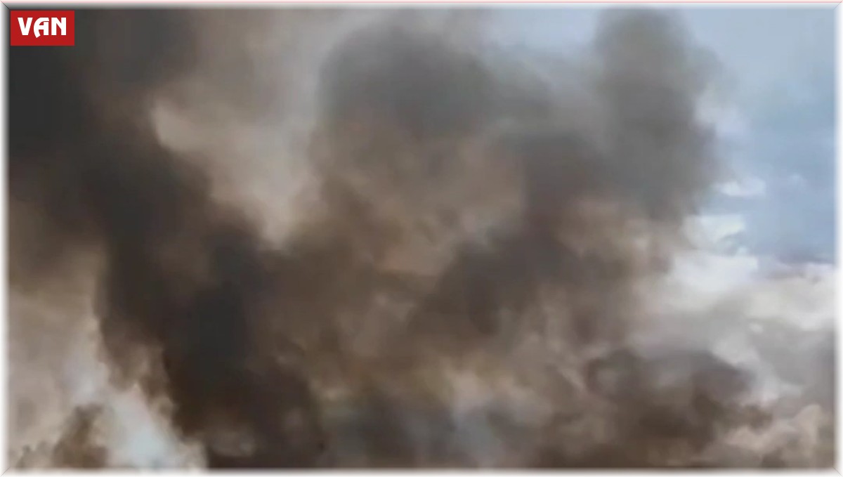 Van'da sazlık alanda yangın