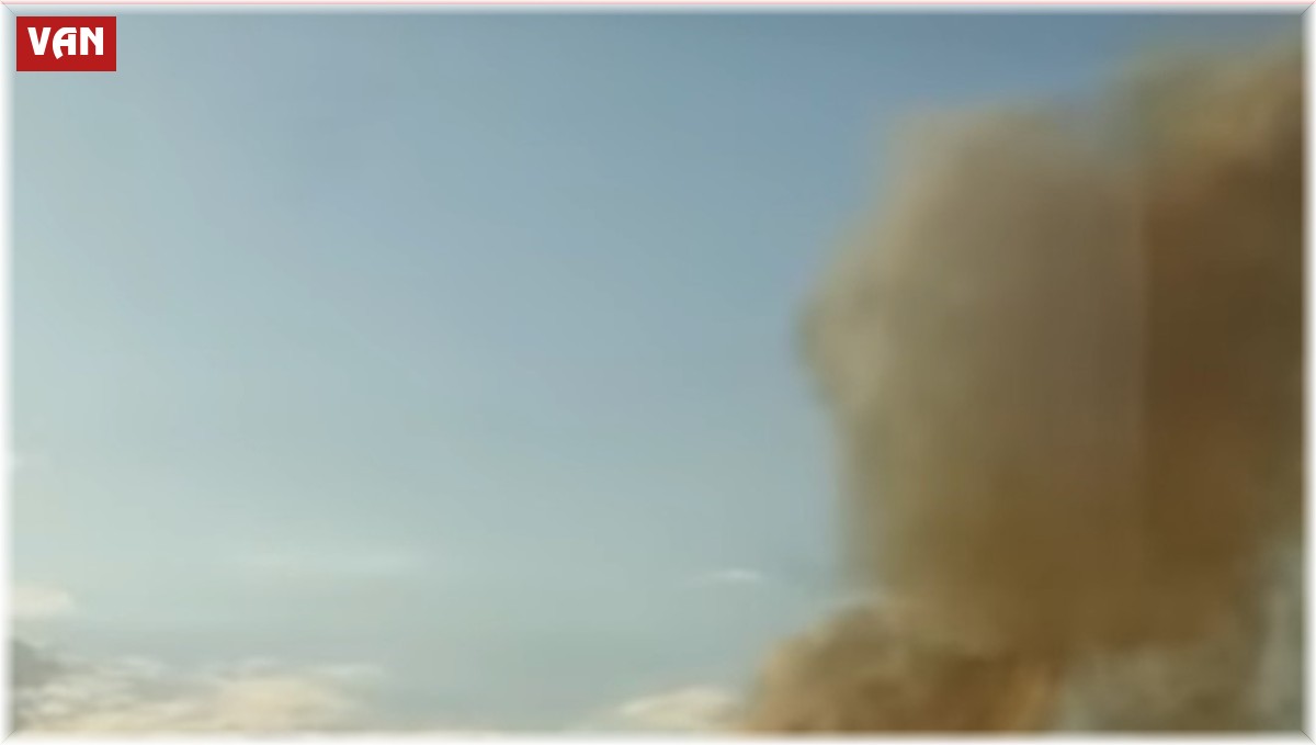 Van'da sazlık alanda yangın