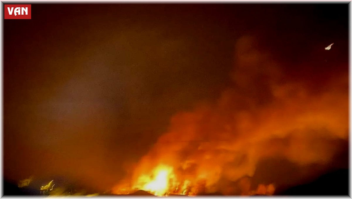 Van'da sazlık alanda yangın