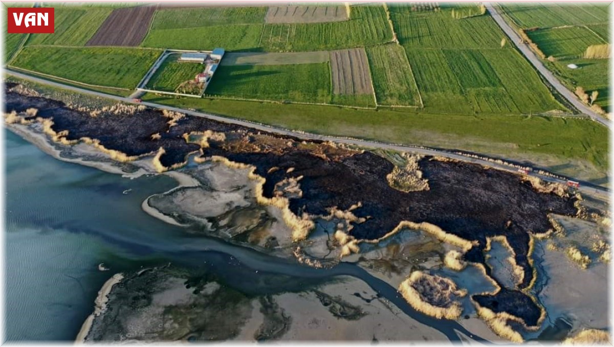 Van'da sazlık alanı yakan şahsa 244 bin TL idari para cezası uygulandı