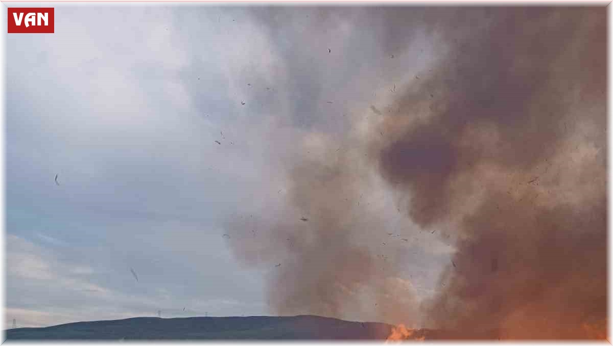 Van'da sazlık alanlarda yangın