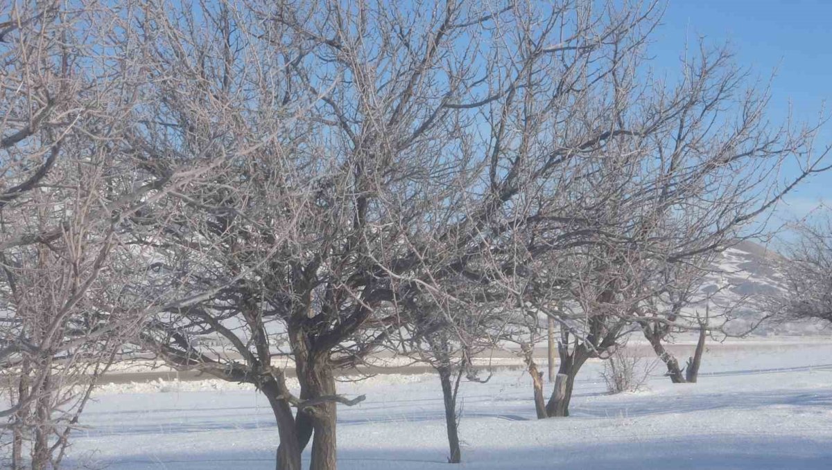 Van'da Sibirya soğukları hayatı olumsuz etkiliyor