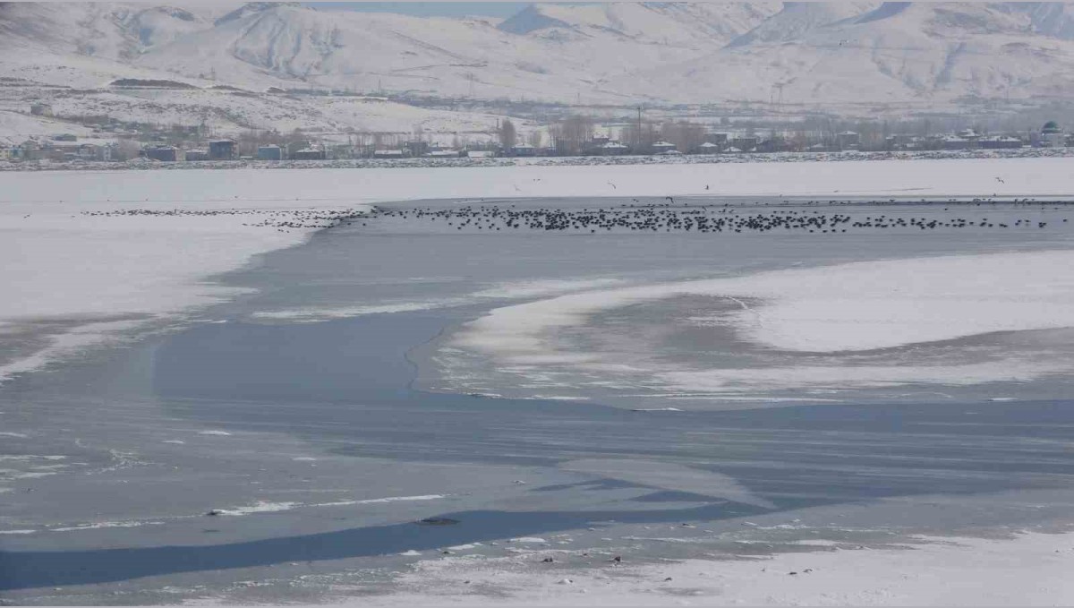 Van'da Sıhke Gölü buz tuttu
