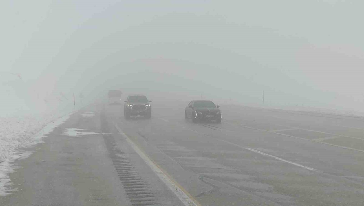 Van'da sis ve kar yağışı yüksek kesimlerde etkiliyor