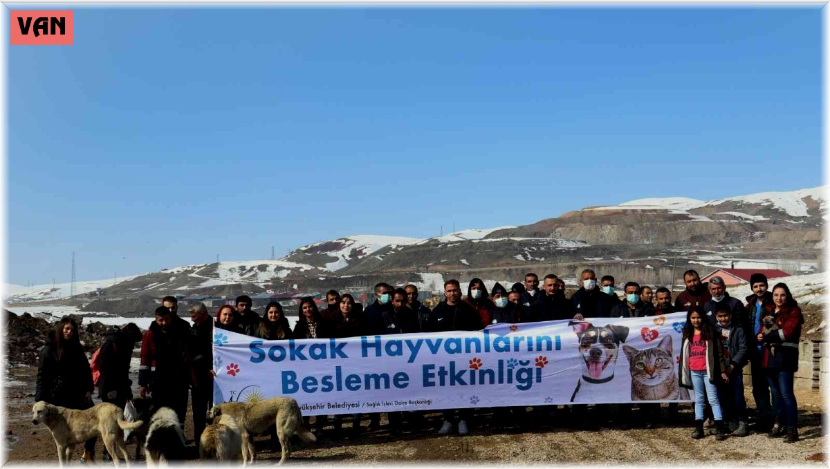 Van'da sokak hayvanları için besleme etkinliği