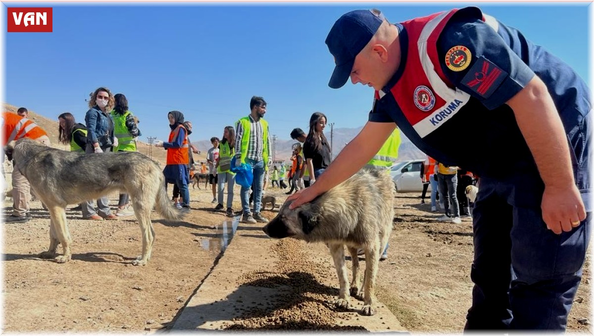 Van'da sokak hayvanlarını besleme etkinliği