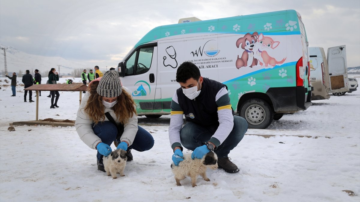 Van'da sokak hayvanlarının aşıları yapıldı, yaşam alanlarına yiyecek bırakıldı
