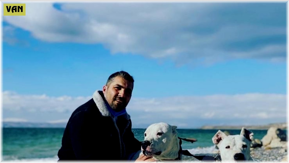 Van'da spor salonu bahçesinden çalınan Dogo Argentino ırkı iki köpek saatler sonra ölü bulundu