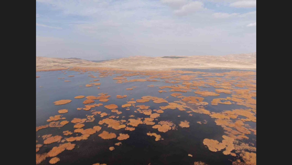 Van'da tarih ve doğa buluşması: Sonbaharın son haftasında kartpostallık manzaralar oluştu