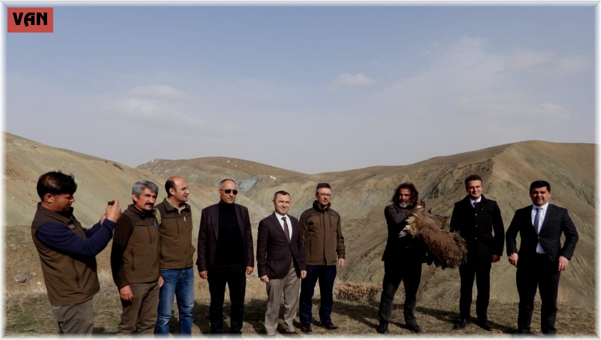 Van'da tedavi edilen yırtıcı kuşlar doğaya bırakıldı