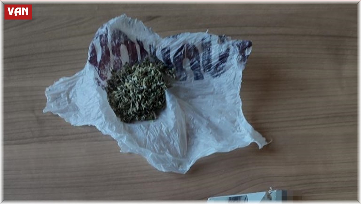 Van'da 'torbacı' operasyonu