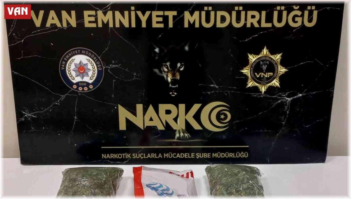 Van'da 'torbacı' operasyonu