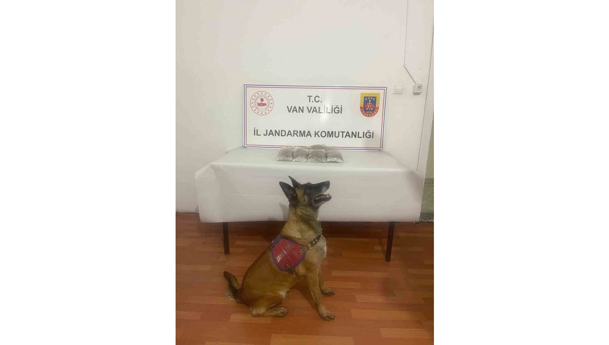 Van'da uyuşturucu madde ele geçirildi