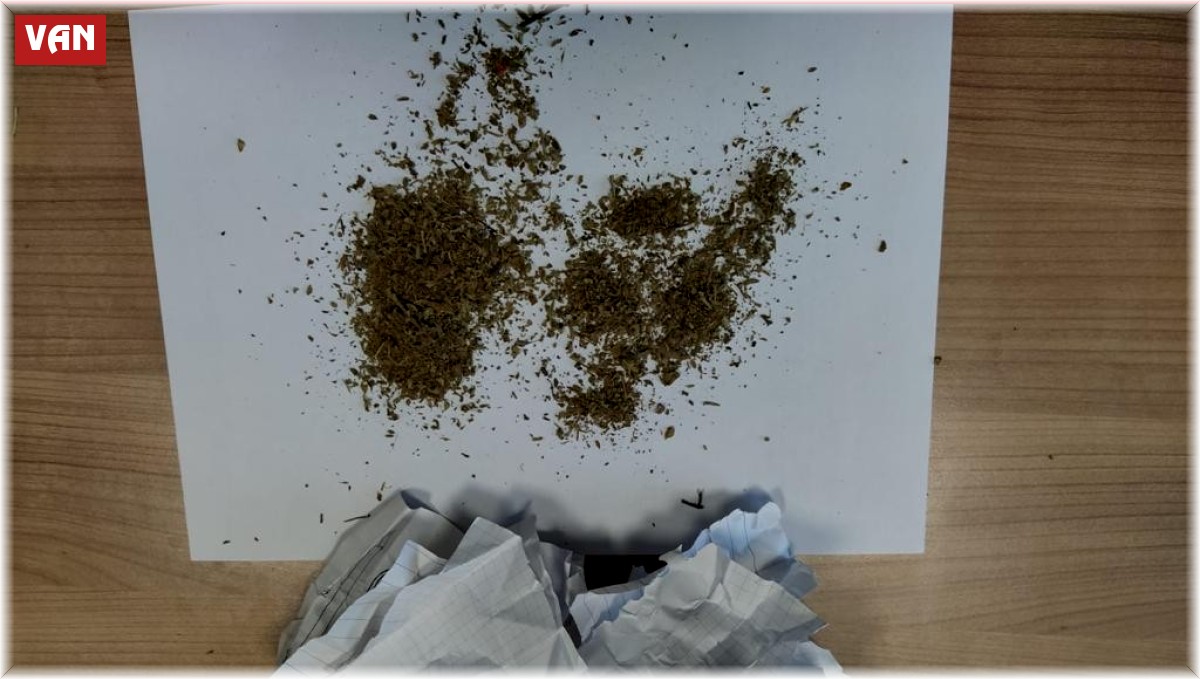 Van'da uyuşturucu satıcılarına yönelik operasyon