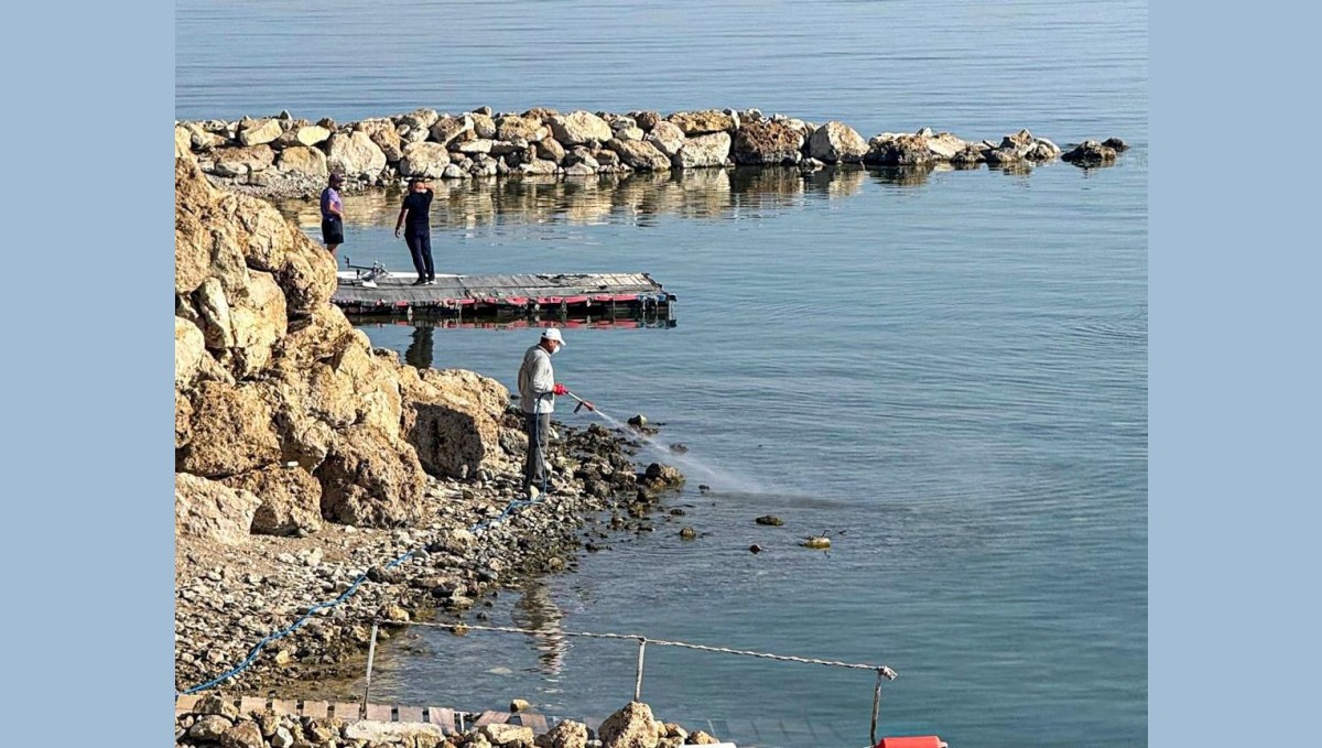 Van'da vektörle mücadele seferberliği