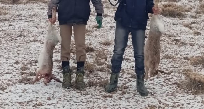 Van'da vurduğu tavşanları sosyal medyadan paylaşan şahsa 14 bin lira ceza