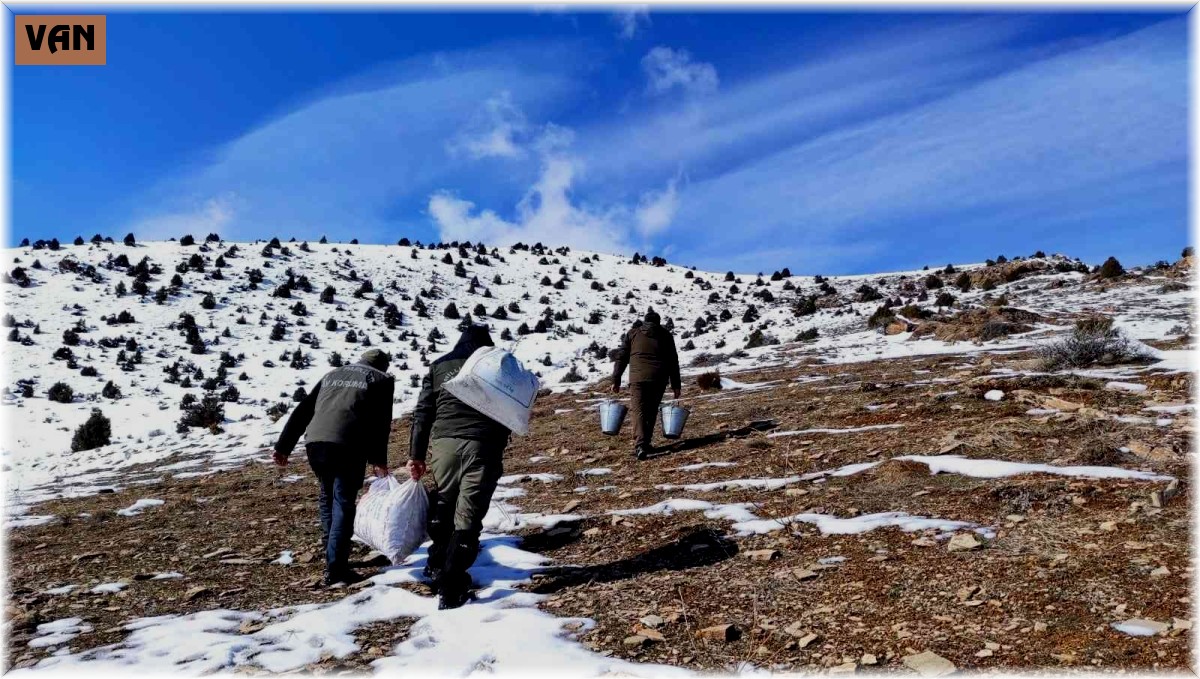 Van'da yaban hayvanlarına yem desteği