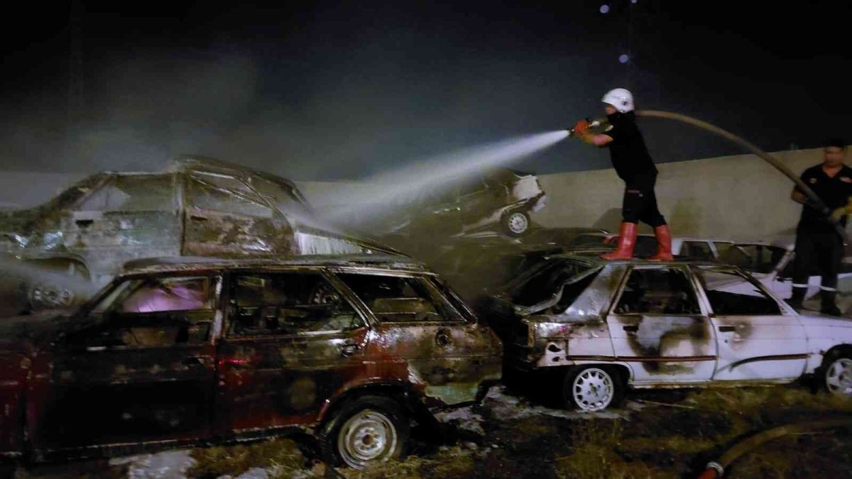 Van'da yangın, 11 araç hasar gördü