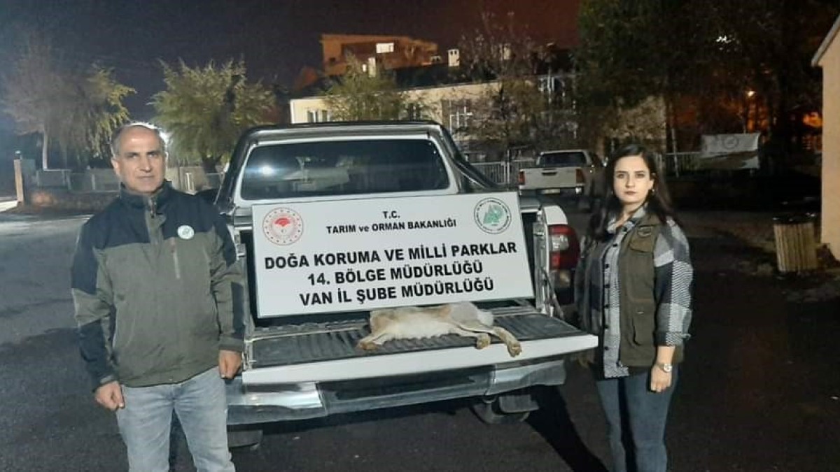 Van'da yasadışı avlanan şahsa 11 bin lira caza