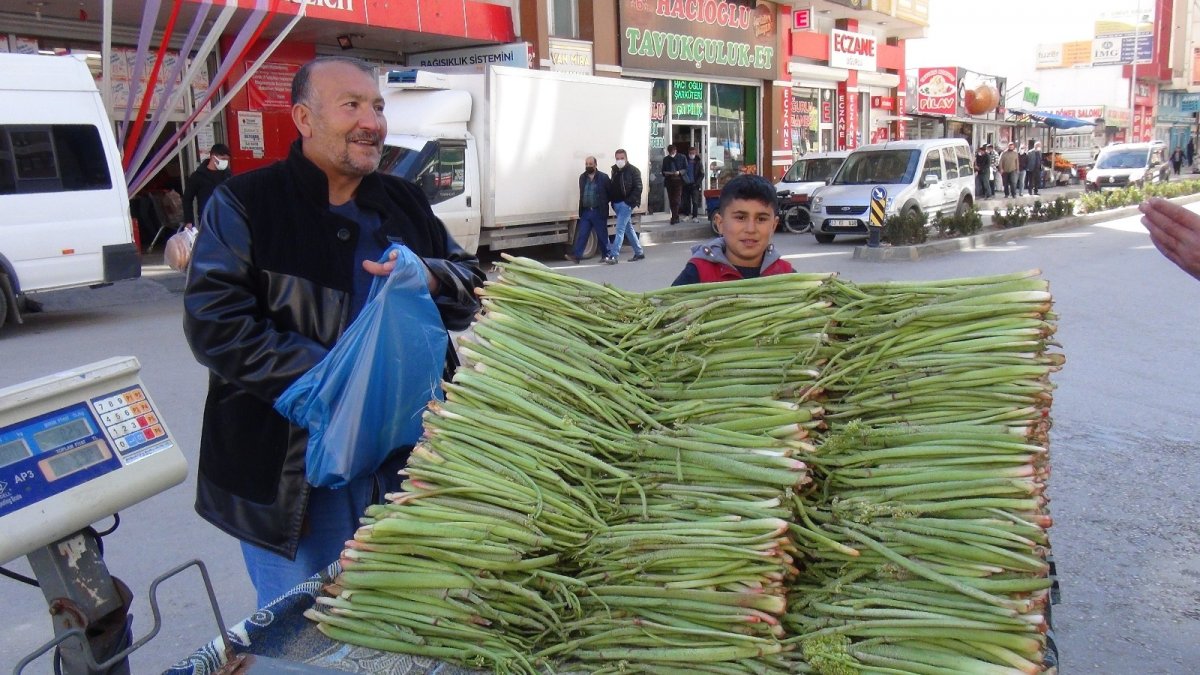 Van'da 'Yayla Muzu' tezgahlardaki yerini aldı