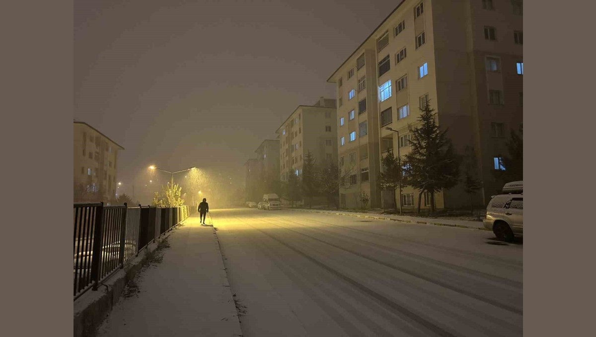 Van'da yoğun kar yağışı