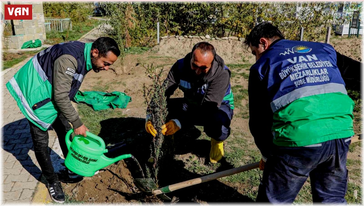 Van'daki 13 mezarlık alanına 3 bin 400 ağacın dikimine başlandı