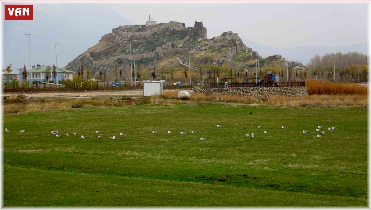 Van'daki 'bahar havası' bilim adamlarını endişelendiriyor