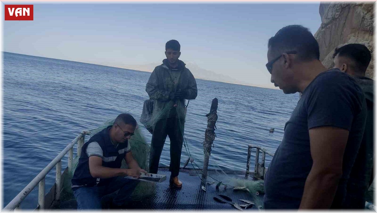 Van'daki balıkçı barınaklarında inci kefali denetimi