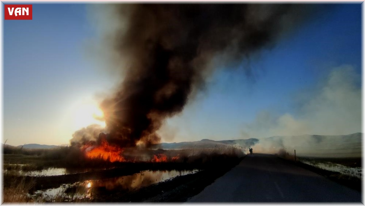 Van Gölü Havzası'ndaki sulak alanlar tehlikede