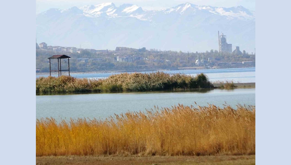 Van Gölü Havzası, Türkiye'nin en fazla sulak alanına ev sahipliği yapıyor