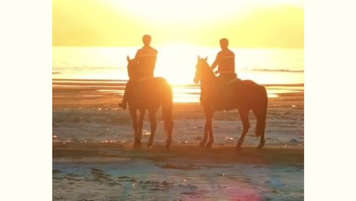 Van Gölü kıyılarında atlı jandarma nöbeti