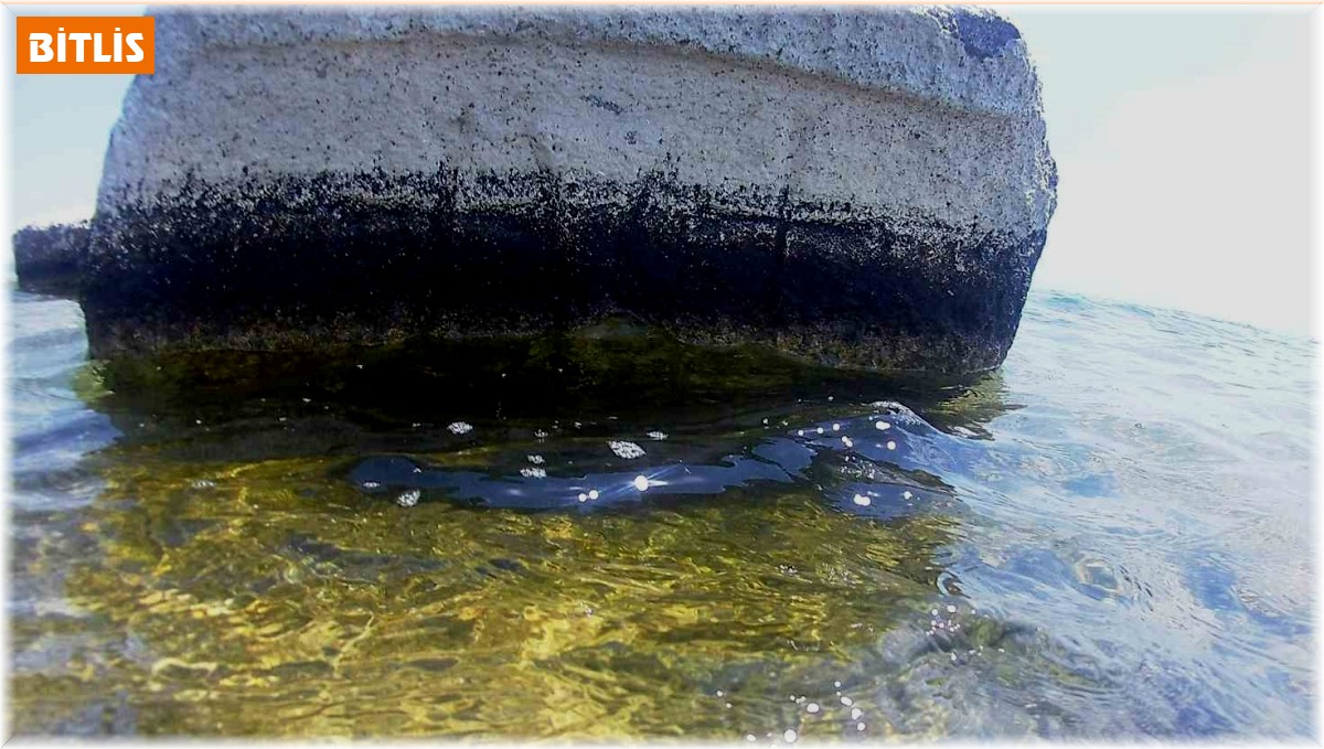 Van Gölü'nde Kayı tamgalı ve haç işaretli taşlar bulundu