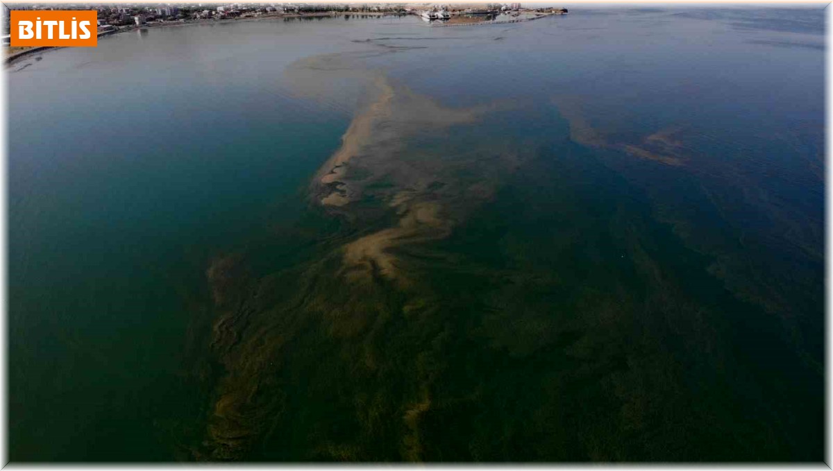 Van Gölü'nde korkutan kirlilik