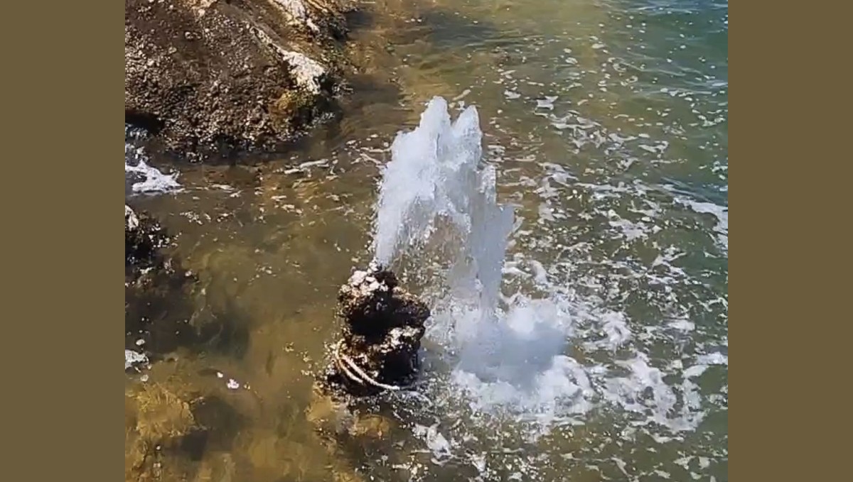 Van Gölü'nde şaşırtan görüntü: Mikrobiyalitten tatlı su fışkırdı