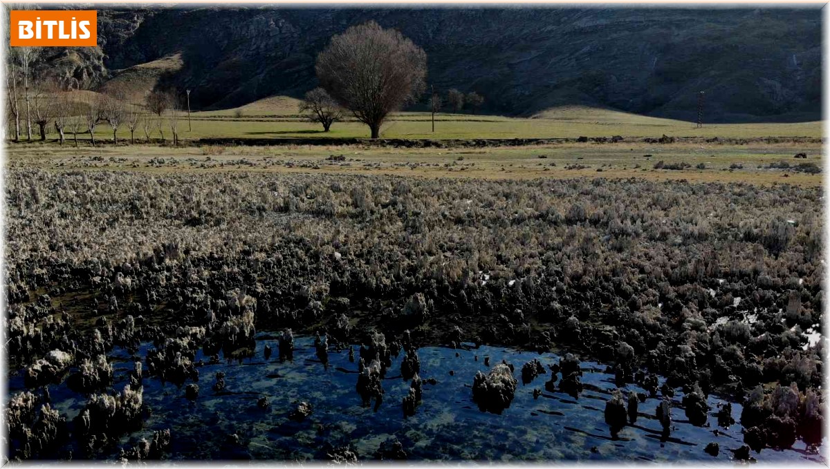 Van Gölü'nde sular çekildi, su altı peribacaları ortaya çıktı