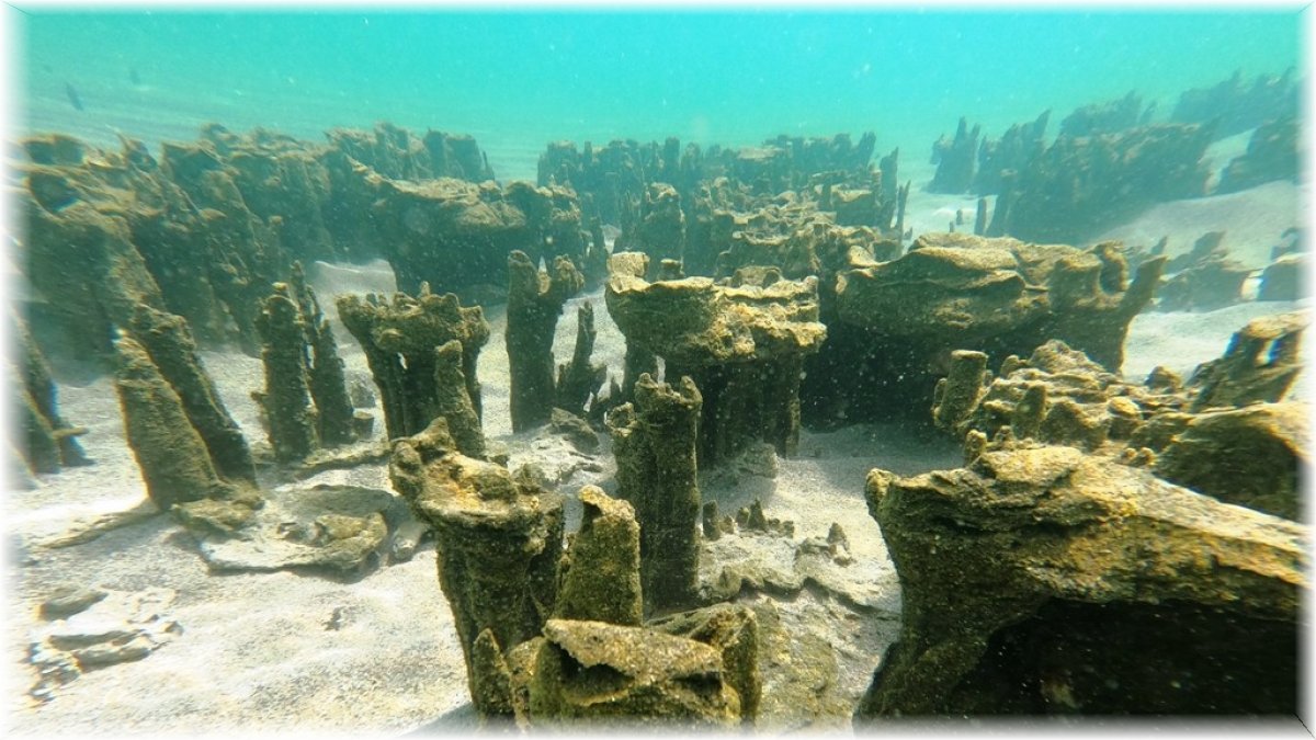 Van Gölü'nde yeni mikrobiyalitler keşfedildi