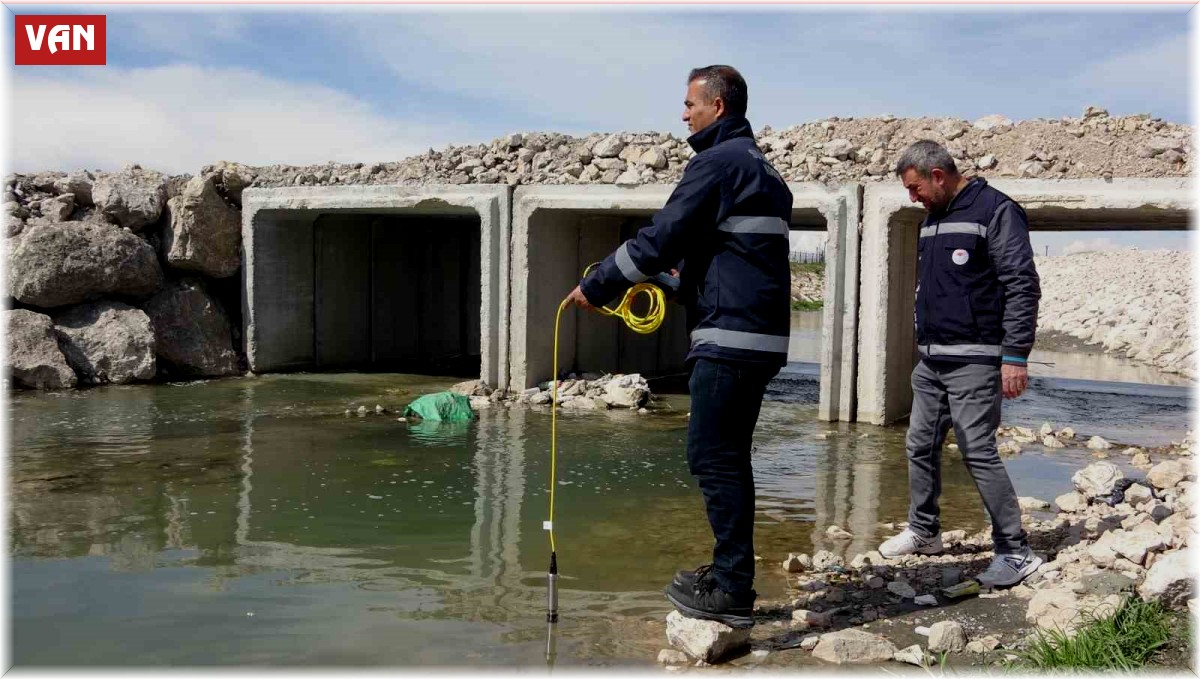 Van Gölü'ndeki inci kefallerinin göçü geç başlayacak