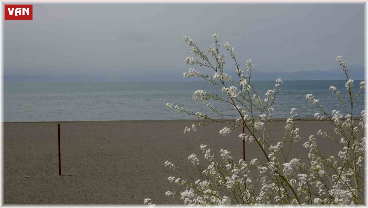 Van Gölü'nün su seviyesinde iyileşme yaşanıyor