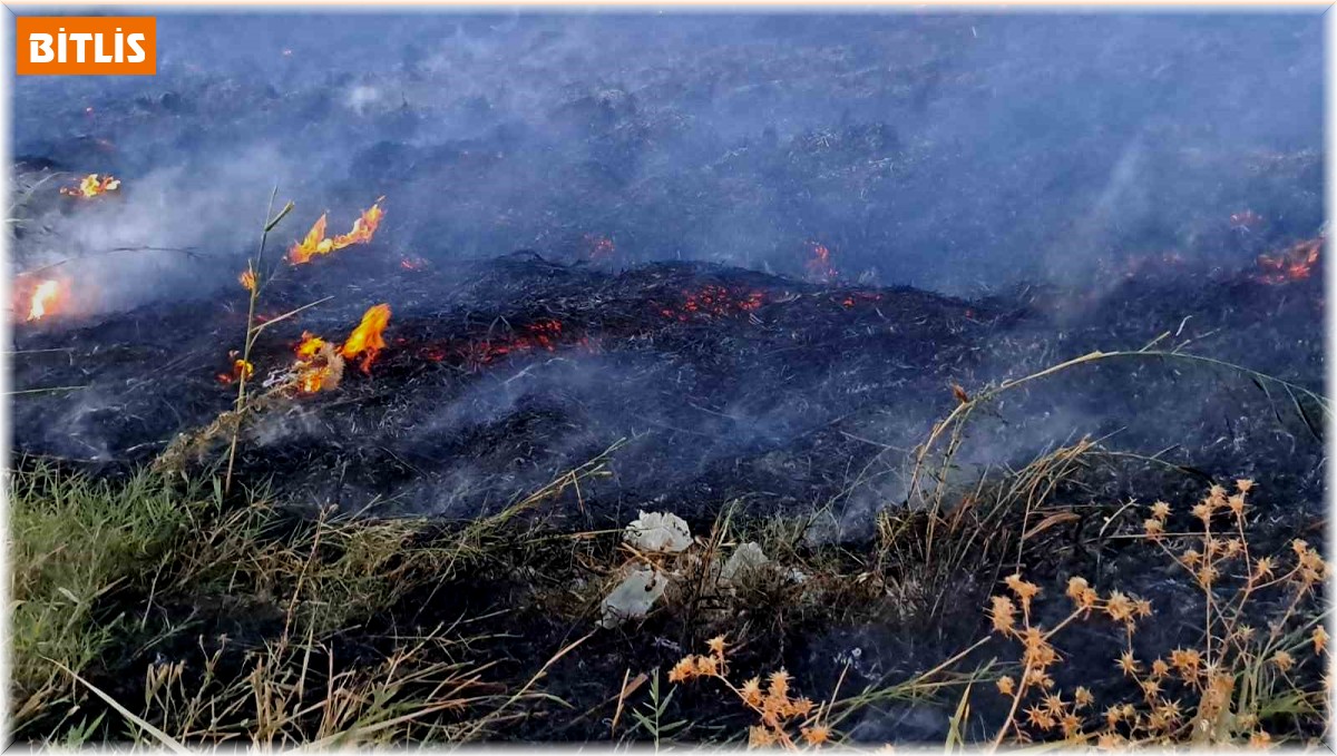 Van Gölü sahilinde sazlık yangını