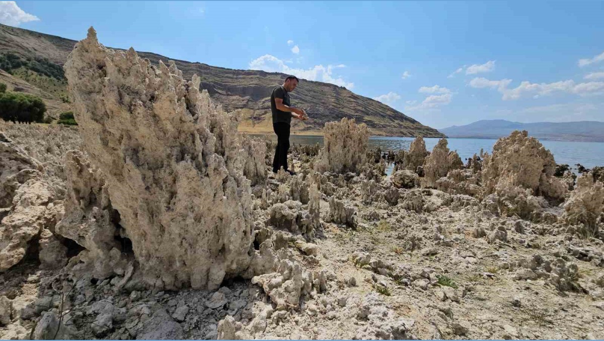 Van Gölü sahilleri mikrobiyalit tarlasına döndü