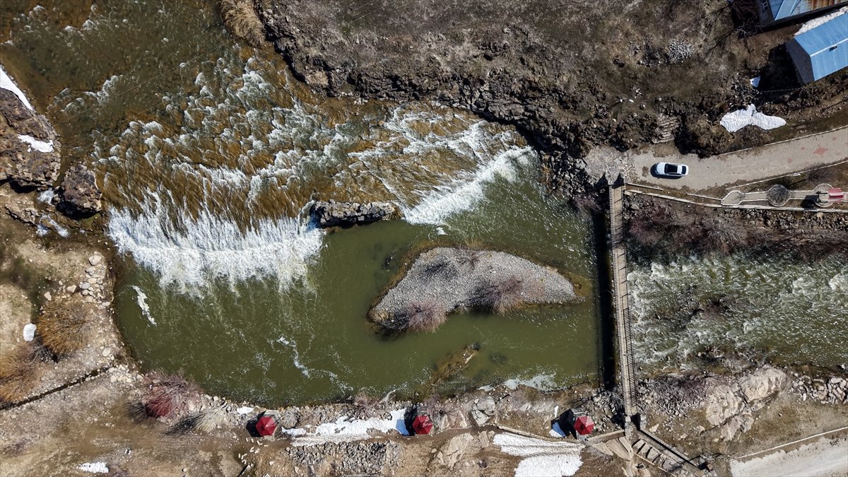 Van Gölü’nün “Uçan Balıkları” İçin İyi Haber: Bu Yıl Göç Daha Rahat Geçecek
