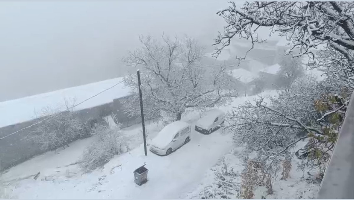 Van'ın Bahçesaray ilçesinde kar etkili oldu