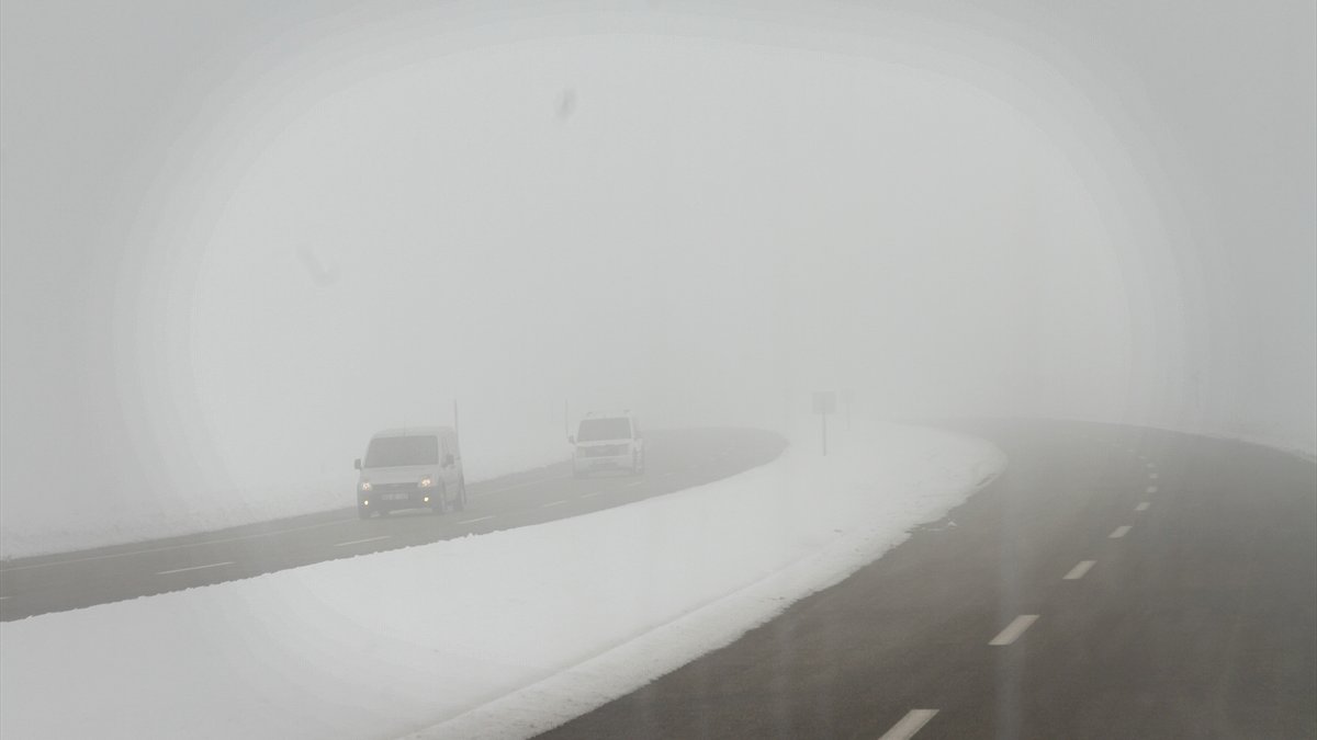 Van'ın Özalp ilçesinde yoğun sis etkili oldu
