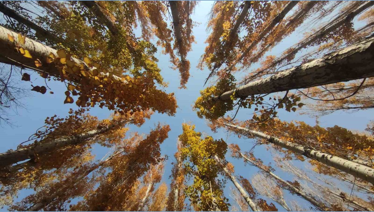 Van'ın sonbahar güzelliği: Van Kalesi ve Atatürk Kültür Parkı ziyaretçilerin gözdesi oldu