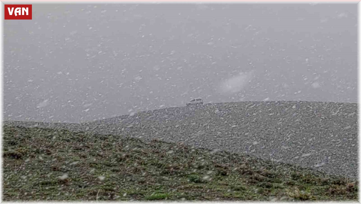 Van'ın yüksek kesimlerinde mayıs ayında lapa lapa kar yağdı