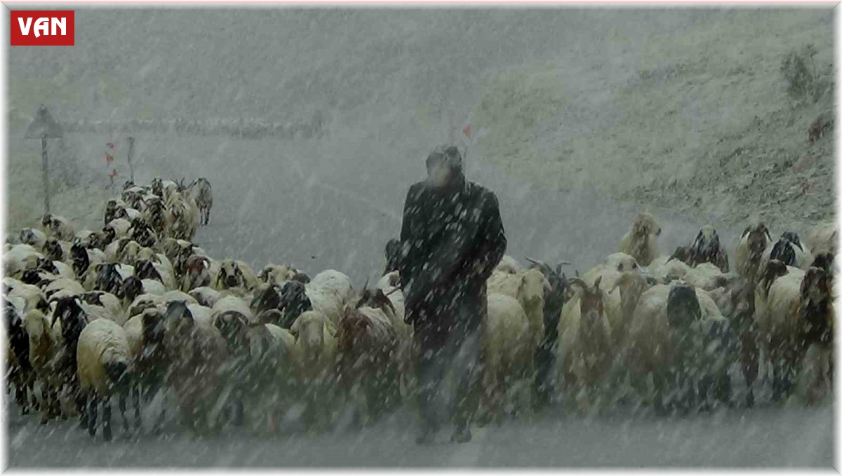 Van'ın yüksek kesimlerine kar yağdı, çobanlar zor anlar yaşadı