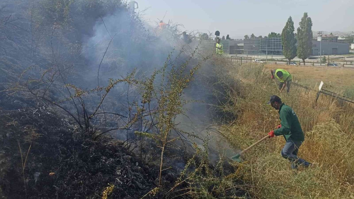 Van Kalesi yanındaki mezarlıkta yangın