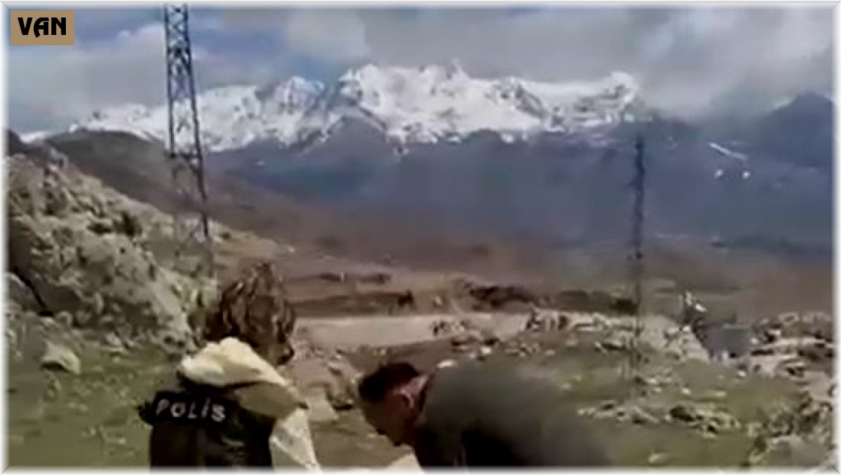 Van polisinden sokak hayvanları için beslenme etkinliği