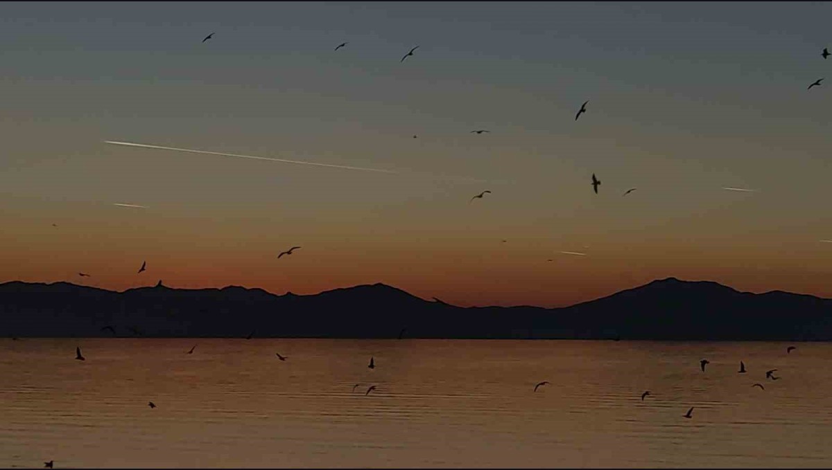 Van semalarında kartpostallık akşam: Uçaklar, kuşlar ve kızıl günbatımı büyüledi